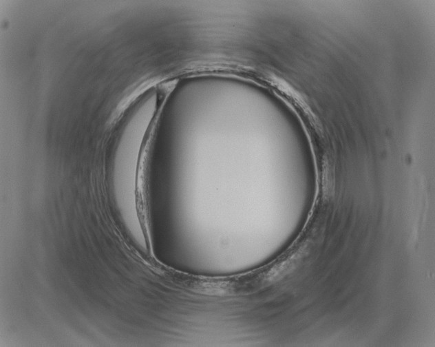 X0000080131453200701051407