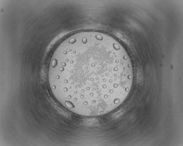 X0000080131454200701051407