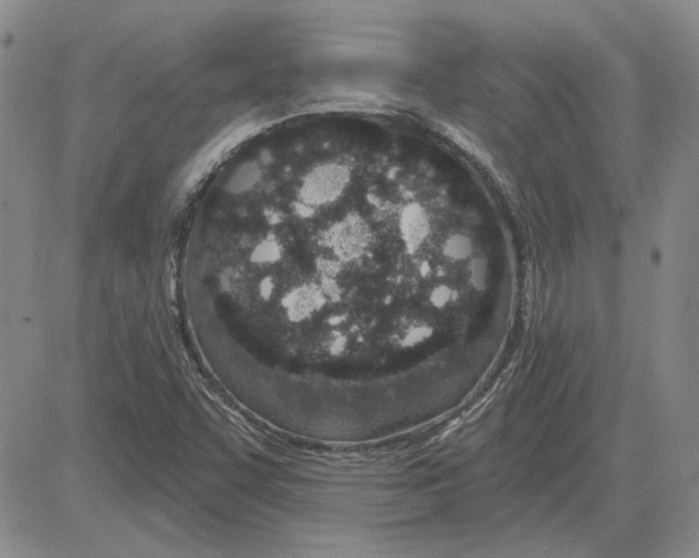 X0000080131455200701051407