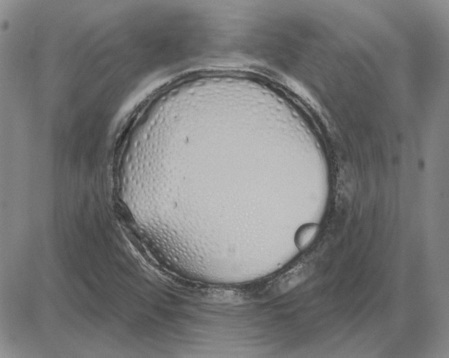 X0000080131456200701051407