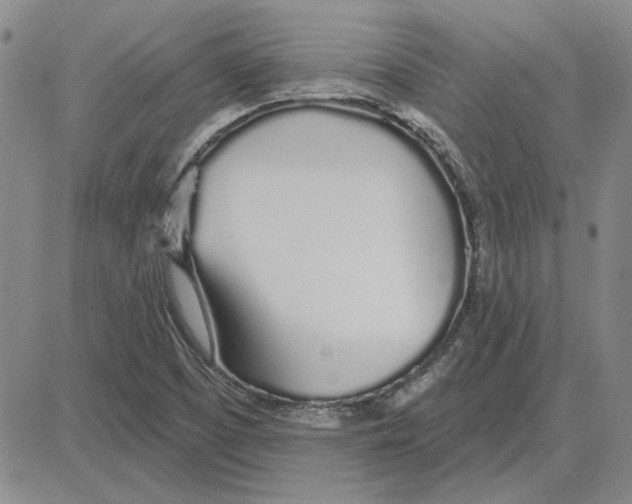 X0000080131457200701051407