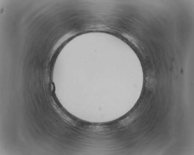 X0000080131458200701051407