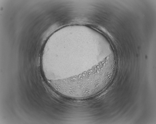 X0000080131459200701051407