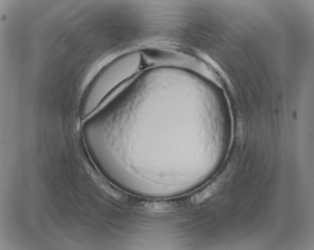 X0000080131461200701051407