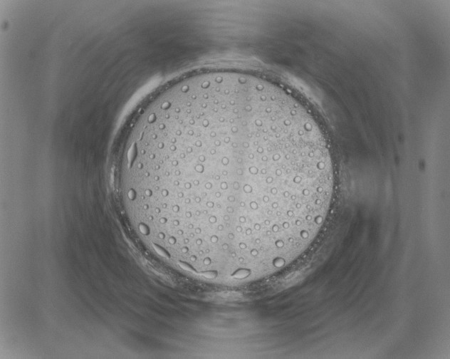 X0000080131462200701051407