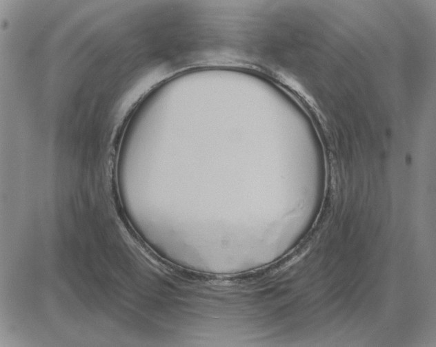 X0000080131463200701051407