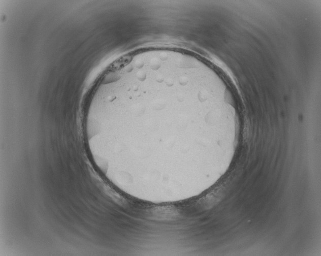 X0000080131464200701051407