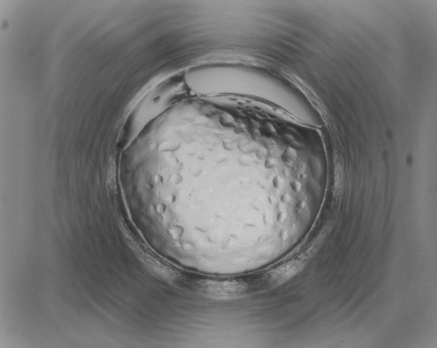 X0000080131465200701051407