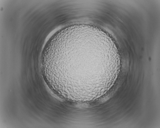 X0000080131466200701051407