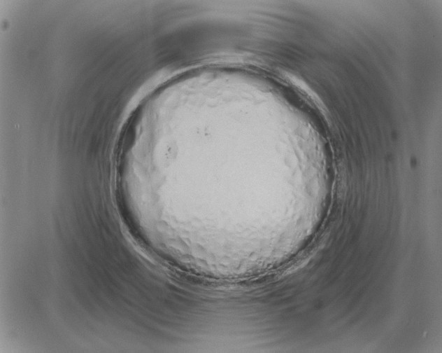 X0000080131467200701051407