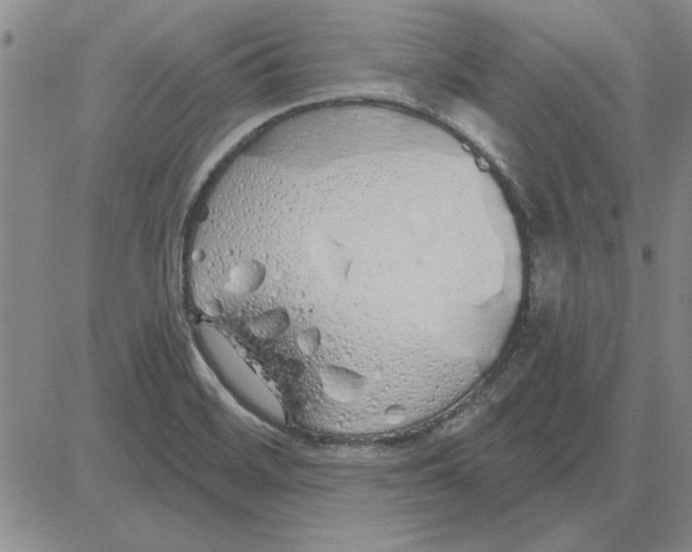 X0000080131468200701051407