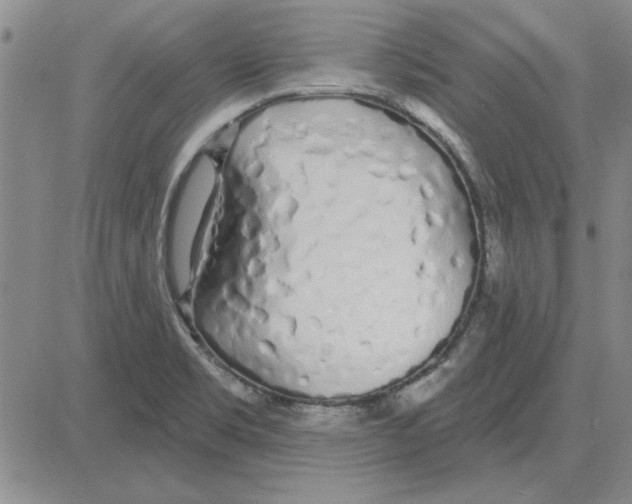 X0000080131469200701051407