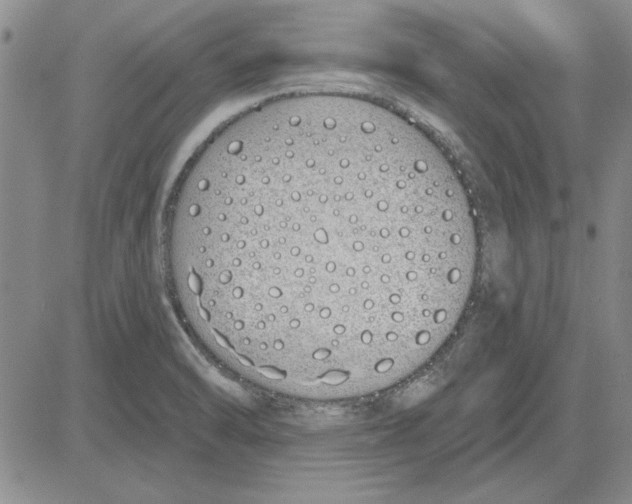 X0000080131470200701051407