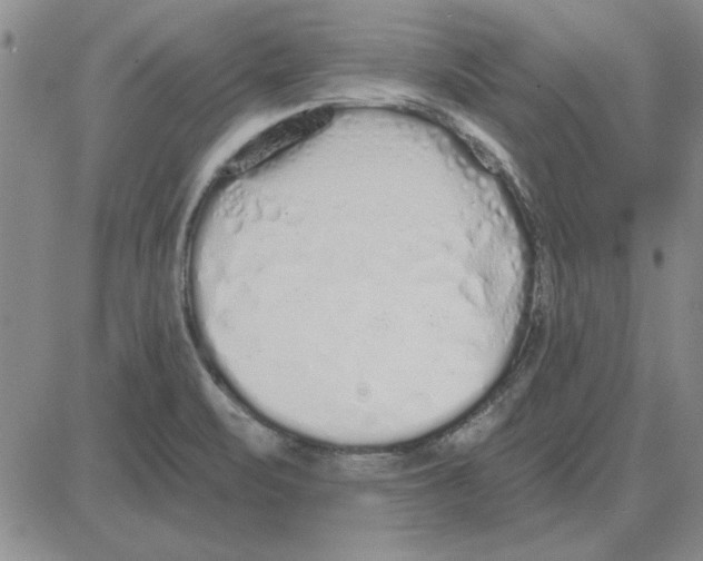 X0000080131471200701051407