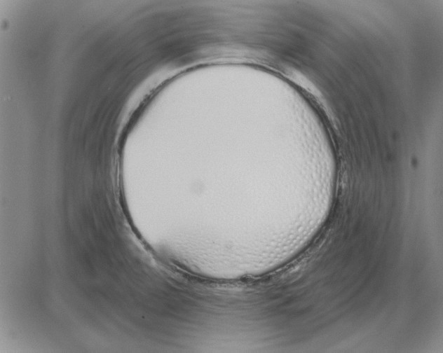 X0000080131472200701051407