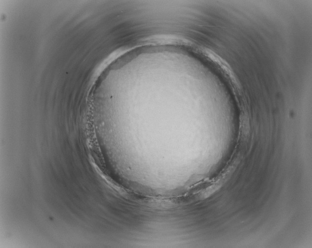 X0000080131473200701051407