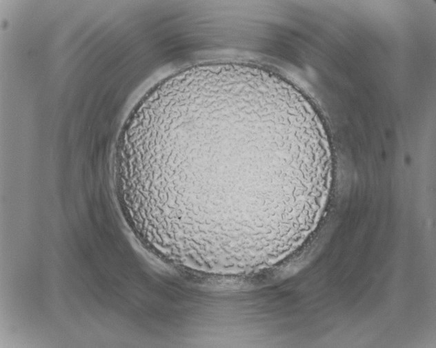 X0000080131474200701051407