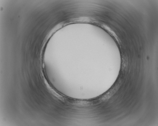 X0000080131475200701051407