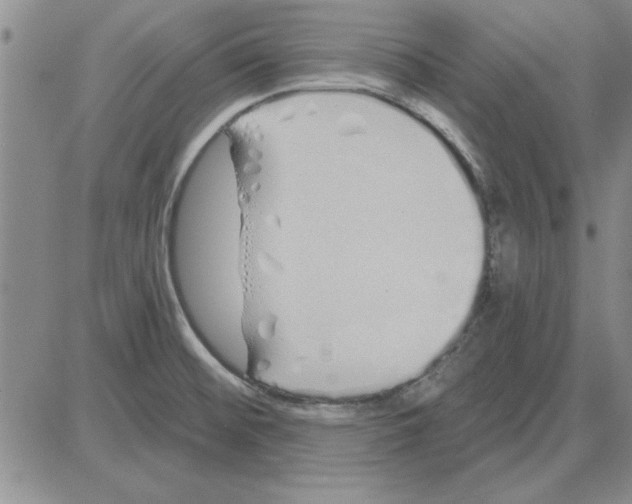 X0000080131476200701051407