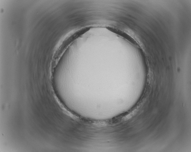 X0000080131477200701051407