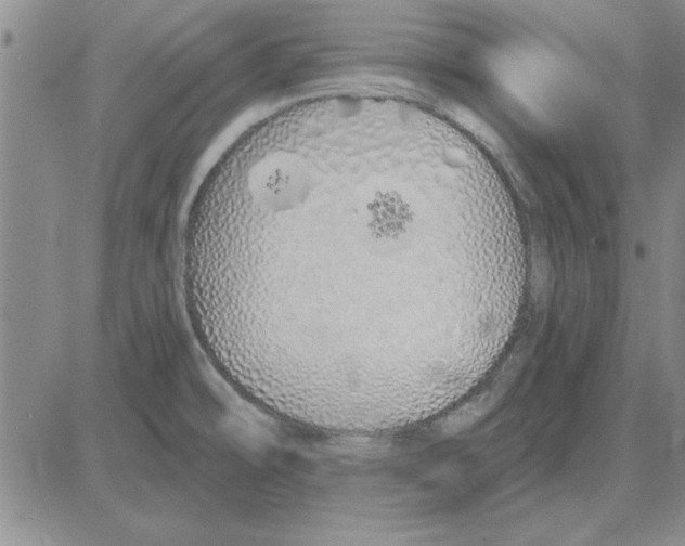 X0000080131478200701051407