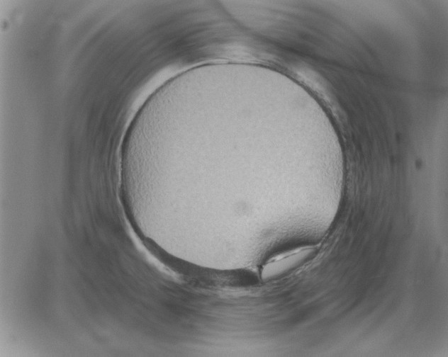 X0000080131479200701051407