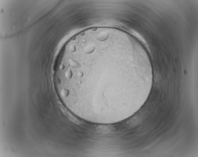 X0000080131480200701051407