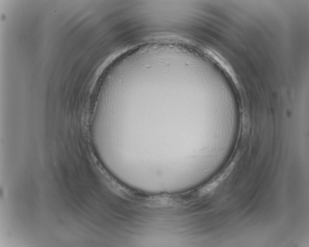 X0000080131481200701051407