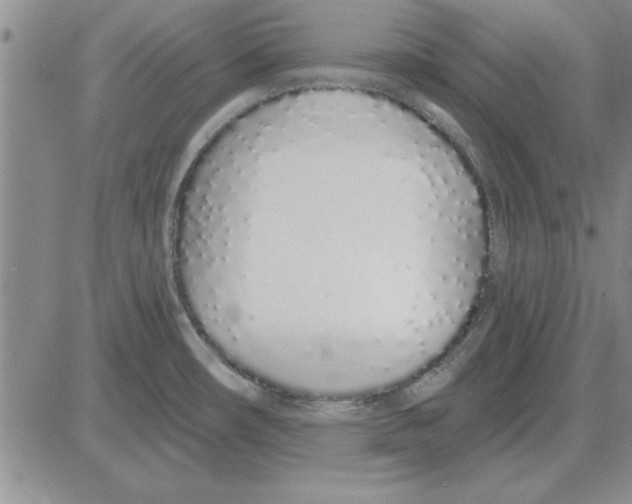 X0000080131482200701051407