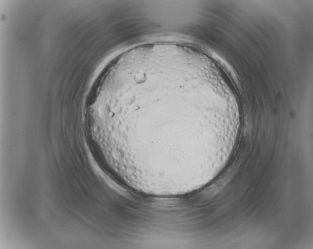 X0000080131483200701051407