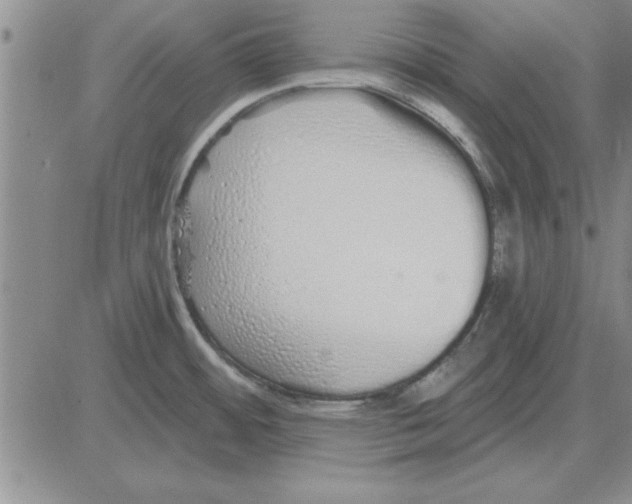 X0000080131484200701051407