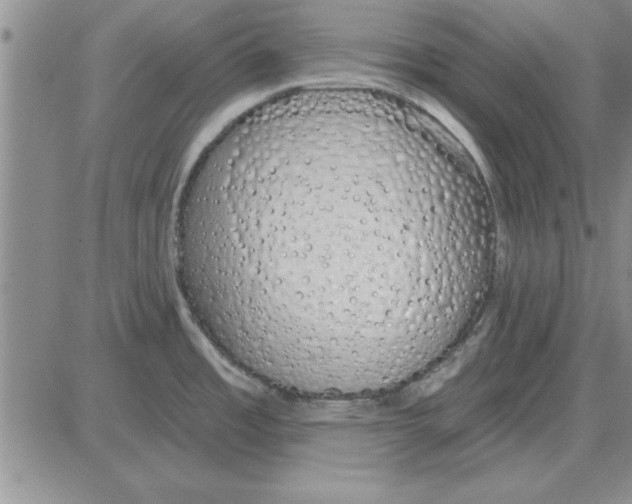 X0000080131485200701051407