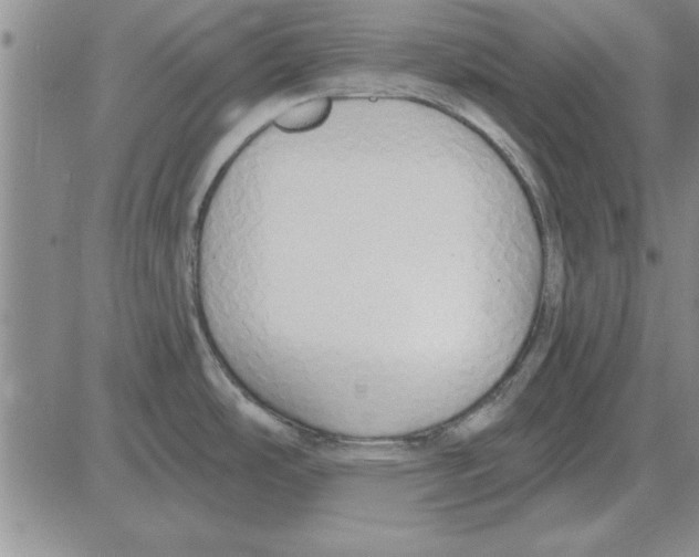 X0000080131486200701051407