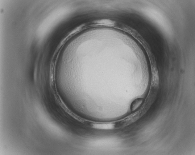 X0000080131487200701051407