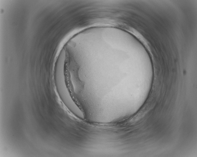 X0000080131488200701051407