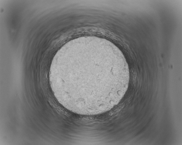 X0000080131489200701051406