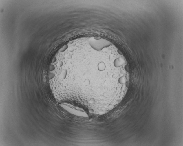 X0000080131490200701051406