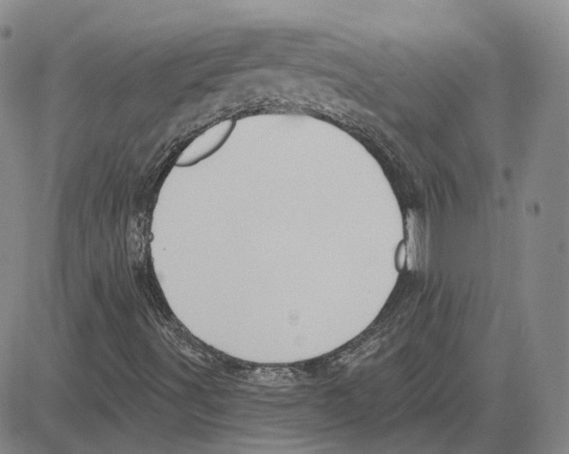 X0000080131491200701051406