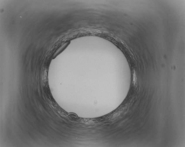 X0000080131492200701051406