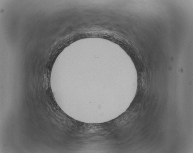 X0000080131493200701051406