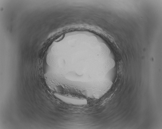 X0000080131494200701051406