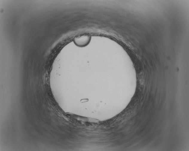 X0000080131495200701051406