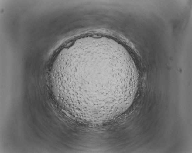 X0000080131496200701051406