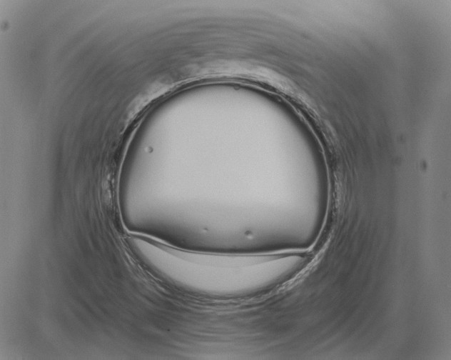 X0000080131497200701051406