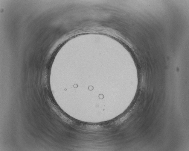 X0000080131498200701051406