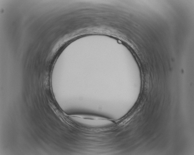 X0000080131499200701051406