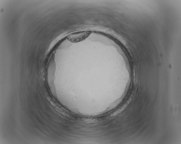 X0000080131501200701051406