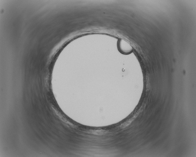 X0000080131502200701051406