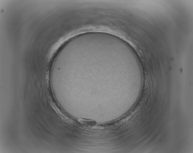 X0000080131503200701051406