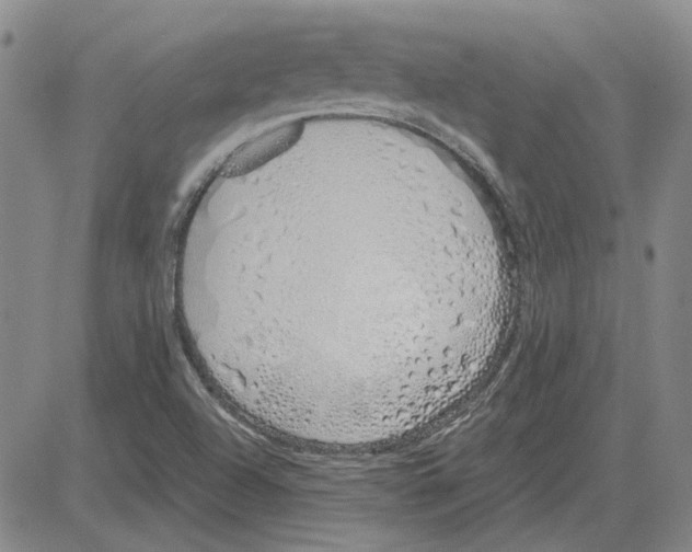 X0000080131504200701051406